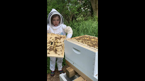 1st two years beekeeping slideshow