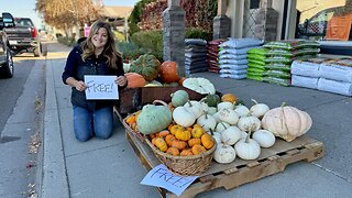 Giving Away Pumpkins, Planting a Redwood From Alaska & Evergreens for the Dumpster Urns! 🌲🎃🌲