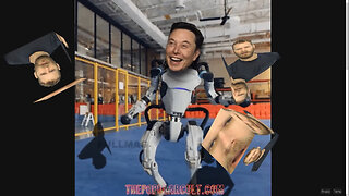 Elon Musk Is Your Best Friend