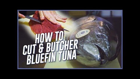 Chefs Show How To Cut and Butcher Bluefin Tuna (Hon-Maguro) For Sashimi