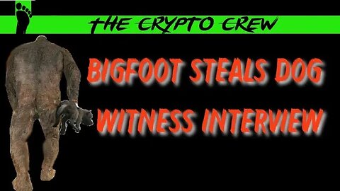 Bigfoot Steals Dog | Witness Interview