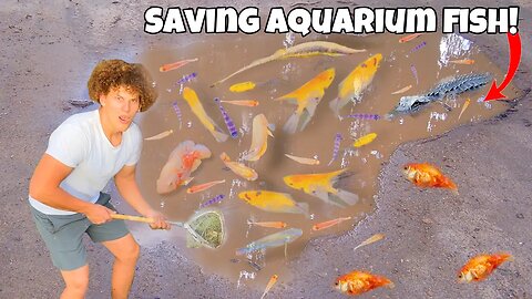 Saving AQUARIUM Fish From BLACK MUD POND!