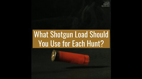 What Shotgun Load Should Be Used for Each Hunt?