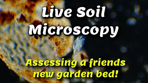 Live Soil Microscopy - Assessing friends new garden bed!
