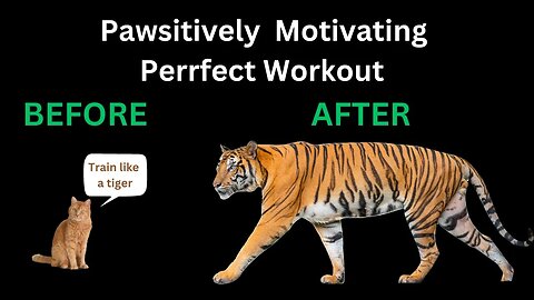 Train To Be A Tiger - Pawsitively Motivating Cat Workout #cats #catvideos #catlover #motivation