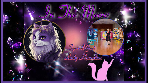 In The Meow | With Special Guest Lady Hamilton