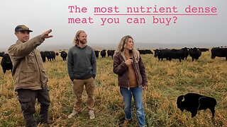 The most nutrient dense beef you can find. Fixing the food system.