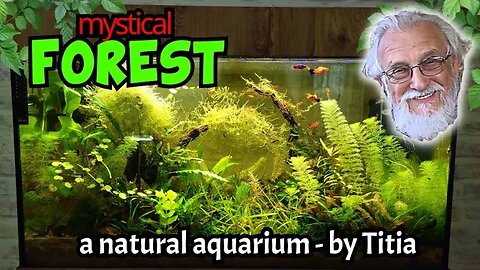 A Simple Formula for A Perfect Natural Substrate