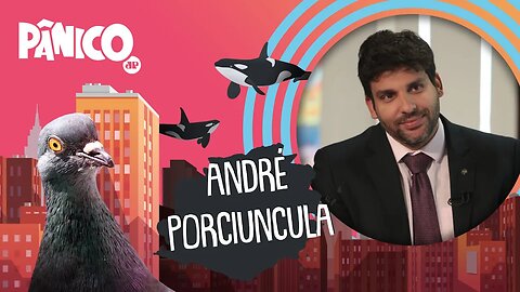 ANDRÉ PORCIUNCULA - PÂNICO - 26/11/21