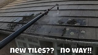 Homeowners DISTRESSED Believing They May Have To Replace All Their MOSS INFESTED ROOF TILES 😣
