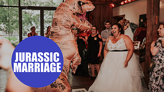 Dinosaur-loving couple throw epic Jurassic Park themed wedding