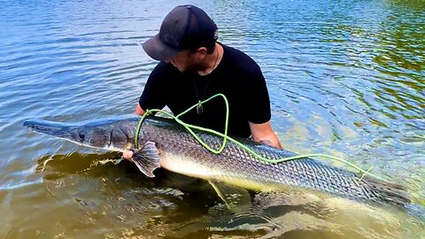 Catching Big Alligator Gar On Lures 🦖