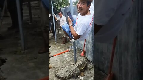 A big Crocodile Rescue Operation 😱🔥💯 #shorts #crocodiles #viral
