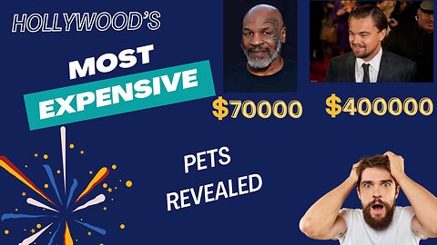 Hollywood's Most EXPENSIVE Pets Revealed