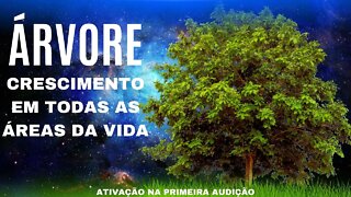 Subliminal arquétipos Arvore- Aterramento e crescimento em todas as áreas da vida