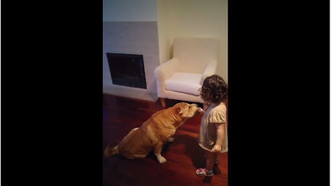 Baby girl hand feeds Shar Pei from food bowl