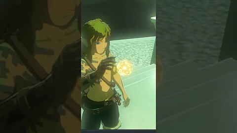 Birds Do THIS In Breath of the Wild?!? #botw #shorts