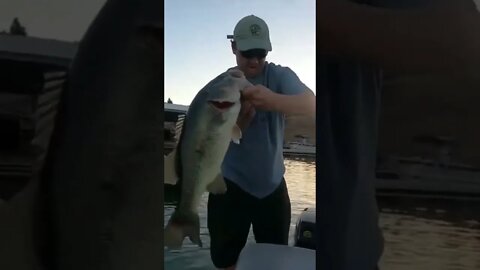 Best Fishing Rap Verse Yet?!!