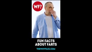 Fun Facts about Farts 03 - The Why Files #shorts