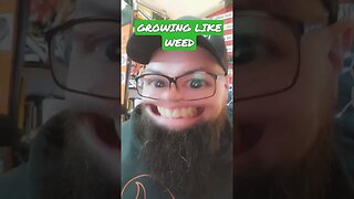 Ganja! #youtubeshorts #shorts #youtubeshorts #rhec #funny #creeksquad #Ganja #subscribe