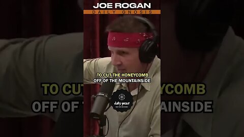 The MAD HONEY Joe Rogan Podcast #shorts #joerogan