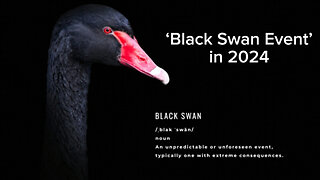 ‘Black Swan Event’ in 2024