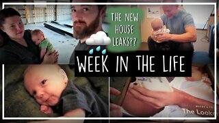 Leaking House//6 Week baby Update//Lovevery Box//Infant Chiropractor