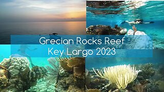 🌅 Snorkel Adventure at Grecian Rock Reef a Sunset Expedition to John Pennekamp State Park 🐠