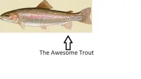 The Awesome Trout