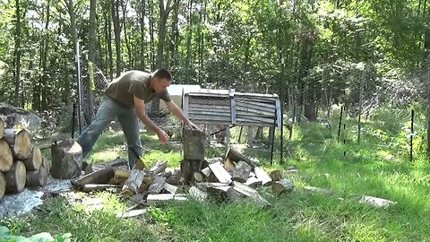 More Fire Wood For My Off Grid Tiny House