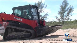 Dead fish cleanup begins in St. Lucie County