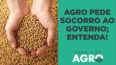 Agro pede ajuda ao governo após queda dos grãos; margens dos agricultores chegam a zero | HORA H