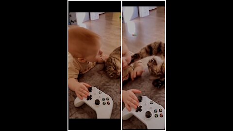 Hungry baby hilariously tries to bite cats ear