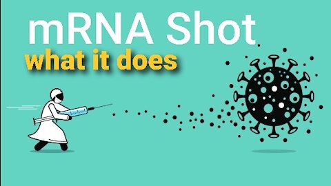 What do the Pfizer & Moderna mRNA Jabs really do?