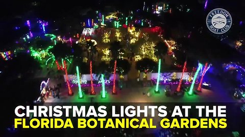 Christmas lights at the Florida Botanical Gardens | Taste and See Tampa Bay