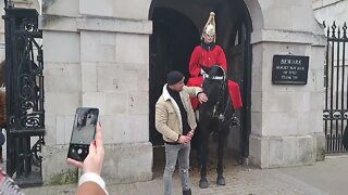 Horse wants your drink #horseguardsparade