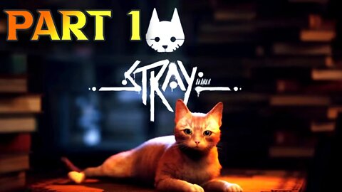 Stray Gameplay Walkthrough Part 1 Practice Stream