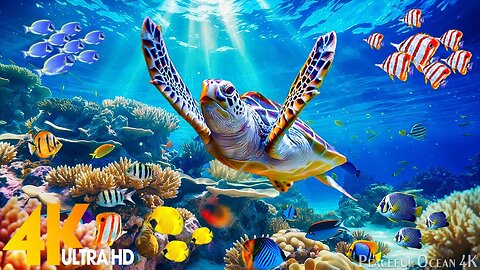 Underwater Relaxation Music : Beautiful Aquarium Coral Reef Fish, Relaxing Ocean Fish