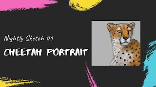 Nightly Sketch 01 Cheetah Portrait