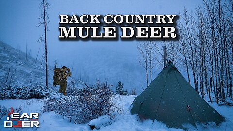 Backcountry Rifle Mule Deer Hunt | 4K FILM | Muley Freak