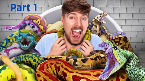 Would You Sit In Snakes For $10,000? #mrbeast 2024