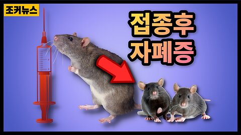 임신한 어미쥐 COVID-19 백신 접종…새끼에게 ‘자폐’ 증상 Pregnant mice get COVID-19 vaccine, pups show 'autistic' symptoms