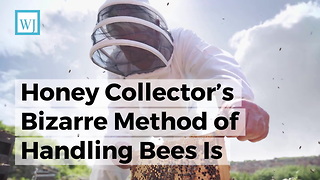 Honey Collector’s Bizarre Method of Handling Bees Is Most Unsettling Thing You’ll See in Weeks