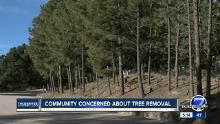Community concerned about tree removal