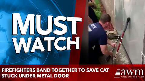 Firefighters Band Together to Save Cat Stuck Under Metal Door