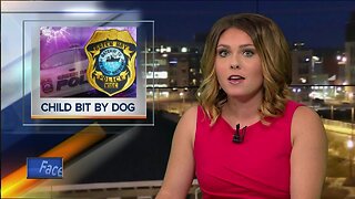 Green Bay Police asking for information after dog bite