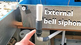 How to build an external bell siphon/ external DWC overflow. (aquaponic farming)