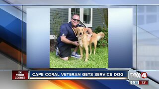 A Cape Coral veteran receives a service dog for PTSD