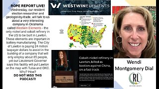 What Do Rare Earth Metals, Elections And Cartels Have In Common? Wendi Dial; ROPE Report Live