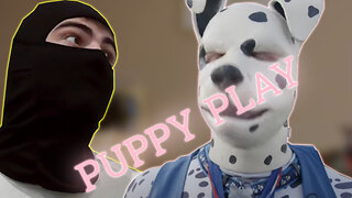 Puppy play needs to go away